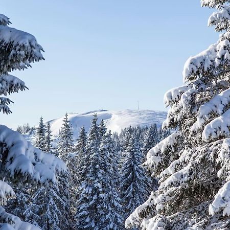 Waldblick Titisee מראה חיצוני תמונה
