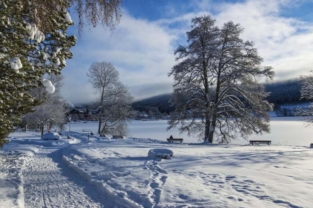 Waldblick Titisee מראה חיצוני תמונה