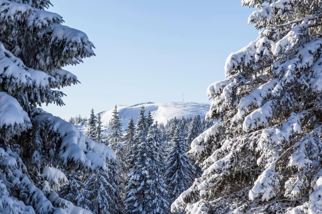 Waldblick Titisee מראה חיצוני תמונה