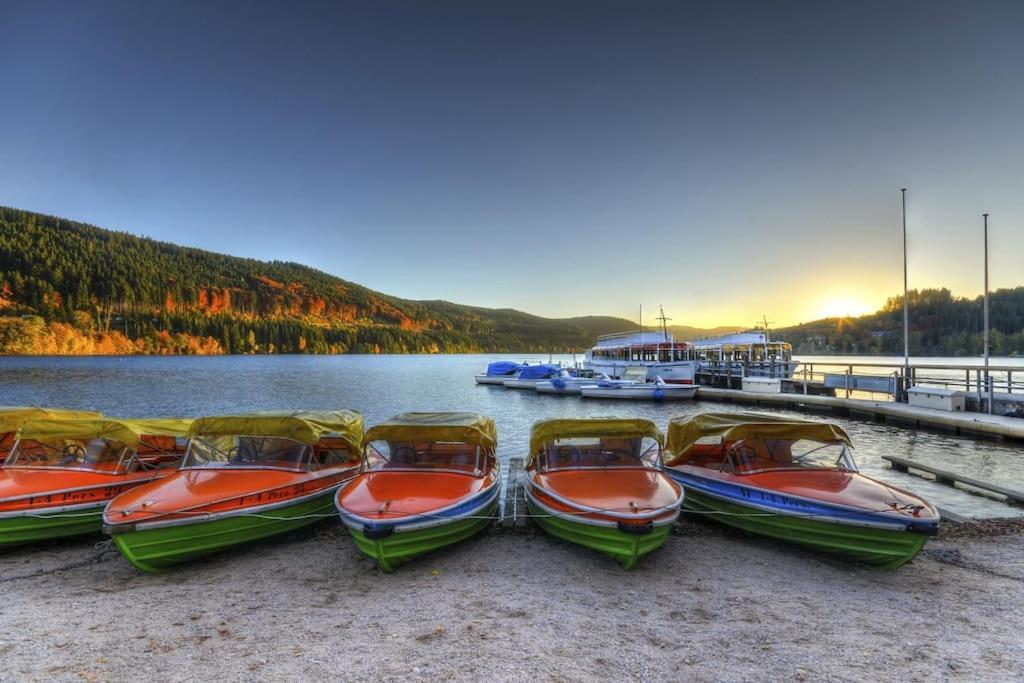 Waldblick Titisee מראה חיצוני תמונה