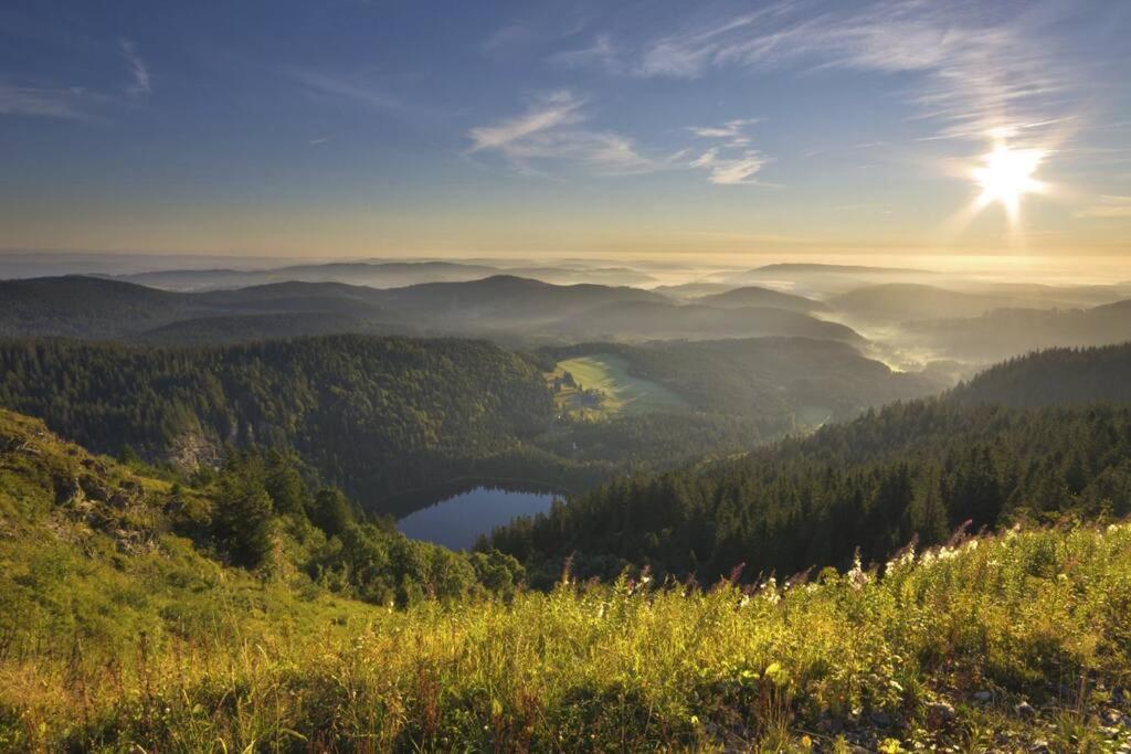 Waldblick Titisee מראה חיצוני תמונה