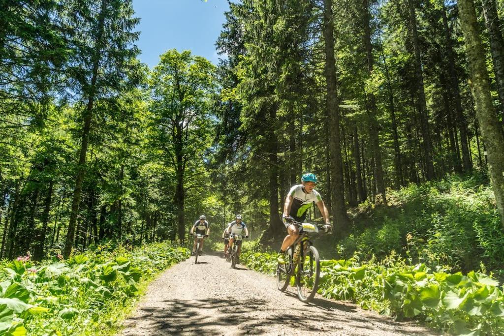 Waldblick Titisee מראה חיצוני תמונה