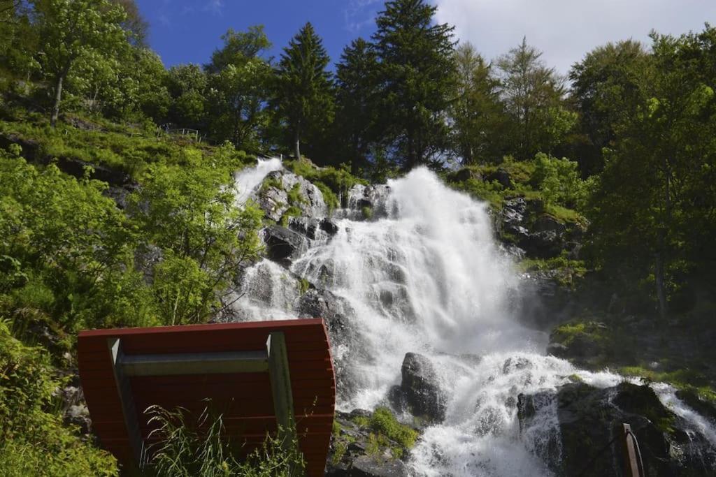 Waldblick Titisee מראה חיצוני תמונה